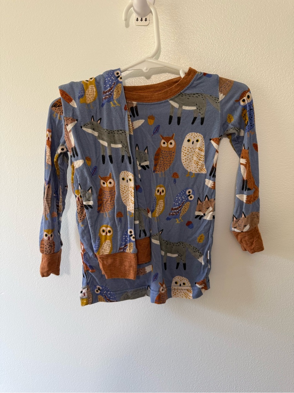 Little Sleepies Blue Woodland Animal Pajama Set with Brown Trim